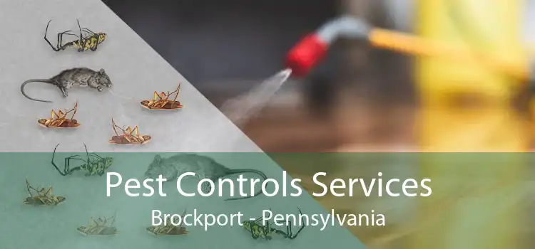 Pest Controls Services Brockport - Pennsylvania