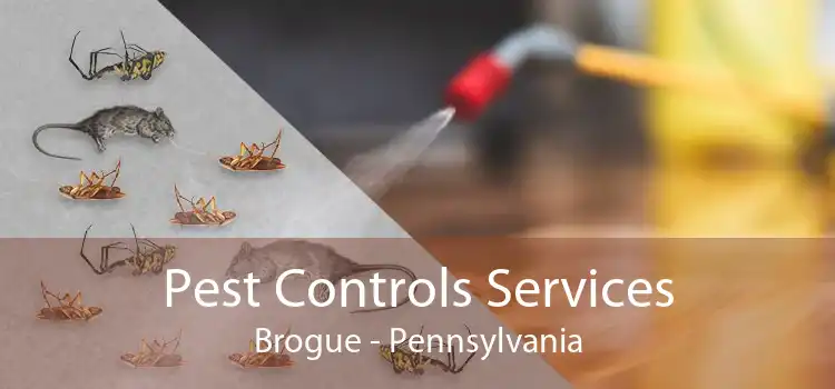Pest Controls Services Brogue - Pennsylvania