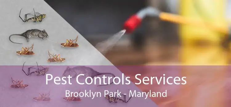 Pest Controls Services Brooklyn Park - Maryland