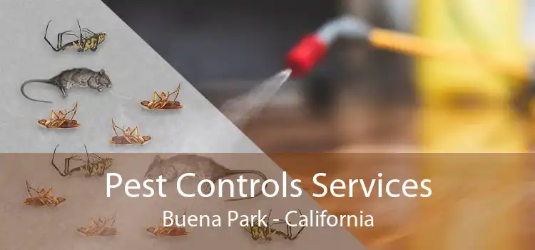 Pest Controls Services Buena Park - California