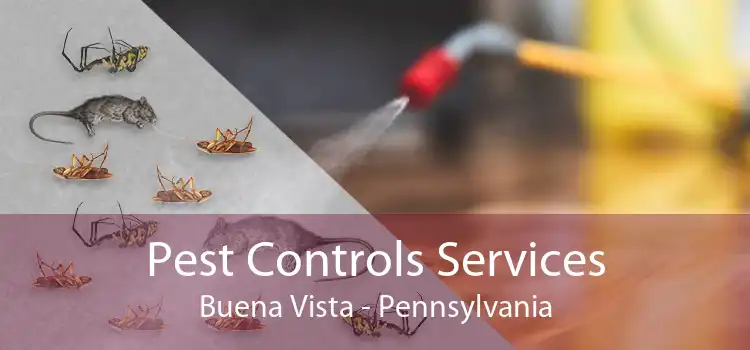 Pest Controls Services Buena Vista - Pennsylvania