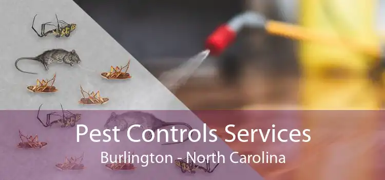 Pest Controls Services Burlington - North Carolina