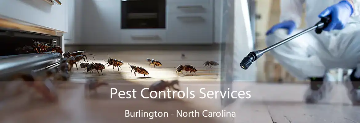 Pest Controls Services Burlington - North Carolina
