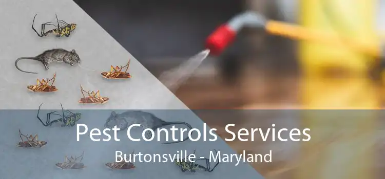 Pest Controls Services Burtonsville - Maryland