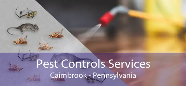Pest Controls Services Cairnbrook - Pennsylvania
