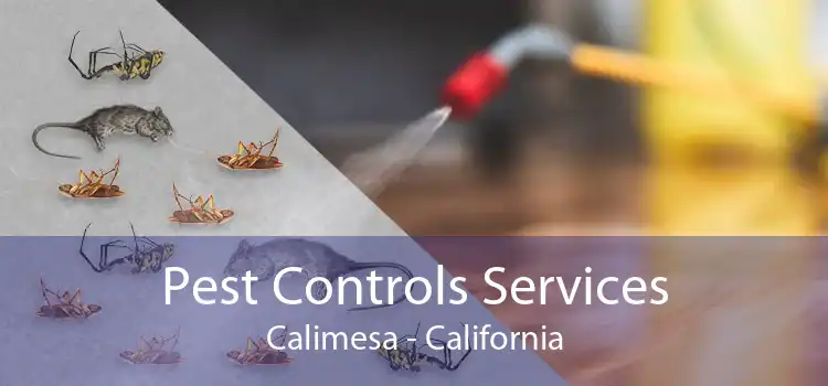 Pest Controls Services Calimesa - California