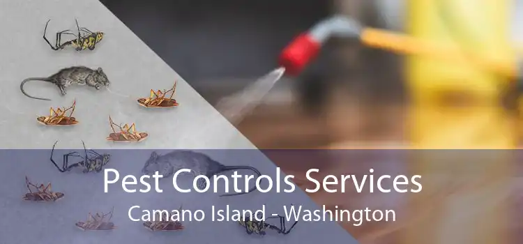 Pest Controls Services Camano Island - Washington