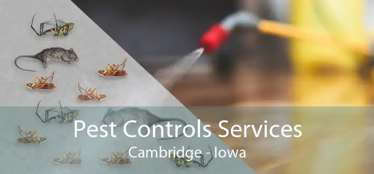 Pest Controls Services Cambridge - Iowa