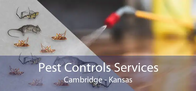 Pest Controls Services Cambridge - Kansas