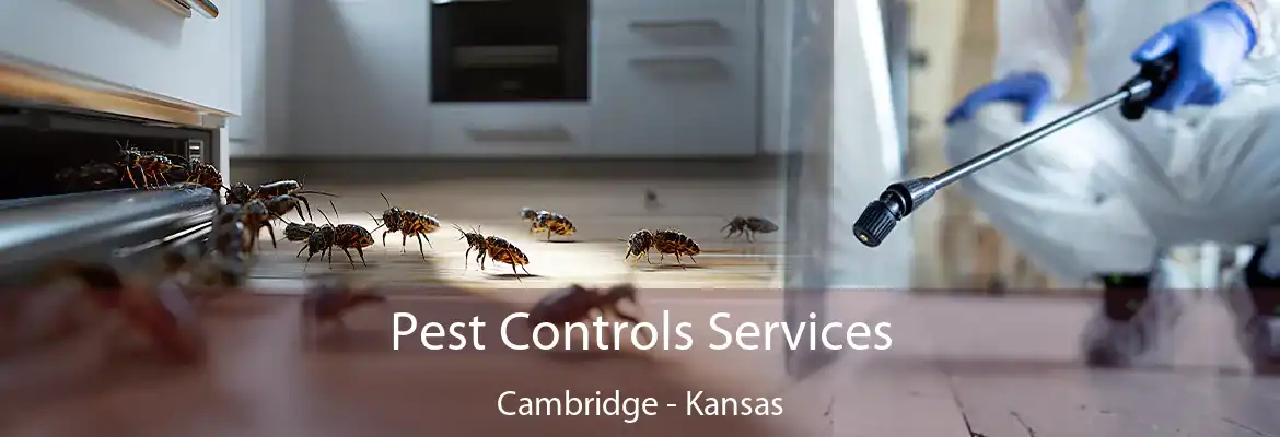 Pest Controls Services Cambridge - Kansas