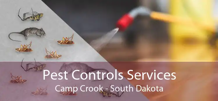 Pest Controls Services Camp Crook - South Dakota