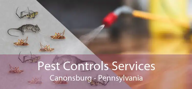 Pest Controls Services Canonsburg - Pennsylvania