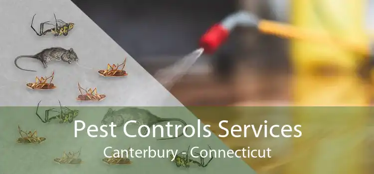Pest Controls Services Canterbury - Connecticut