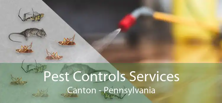 Pest Controls Services Canton - Pennsylvania
