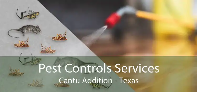 Pest Controls Services Cantu Addition - Texas