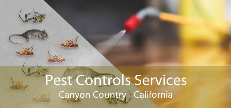 Pest Controls Services Canyon Country - California
