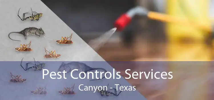 Pest Controls Services Canyon - Texas