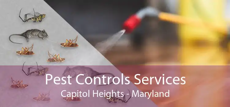 Pest Controls Services Capitol Heights - Maryland