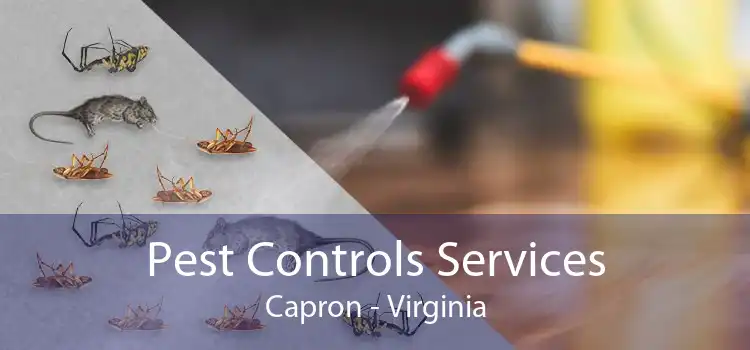 Pest Controls Services Capron - Virginia