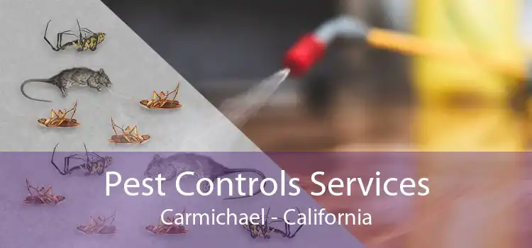 Pest Controls Services Carmichael - California