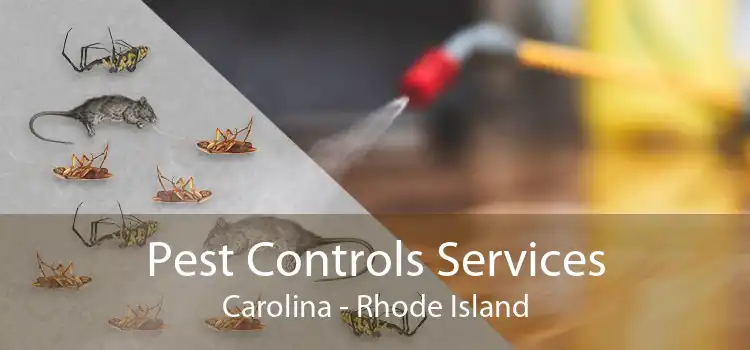 Pest Controls Services Carolina - Rhode Island