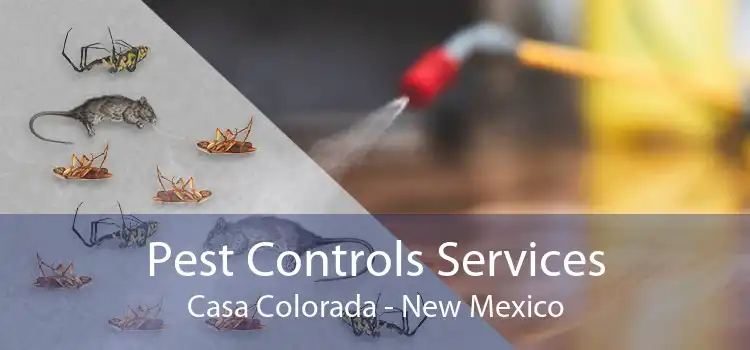 Pest Controls Services Casa Colorada - New Mexico