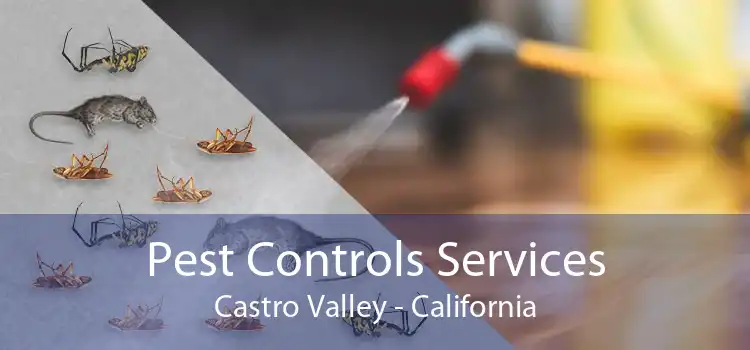 Pest Controls Services Castro Valley - California