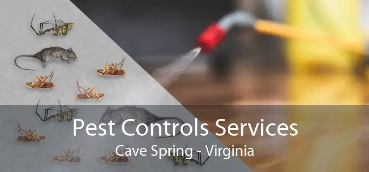 Pest Controls Services Cave Spring - Virginia