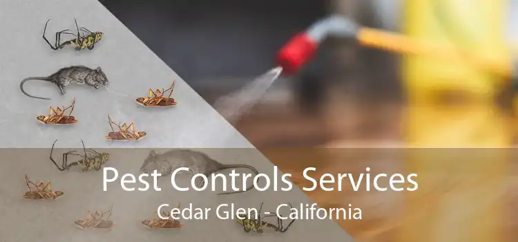 Pest Controls Services Cedar Glen - California