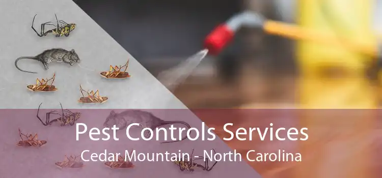 Pest Controls Services Cedar Mountain - North Carolina
