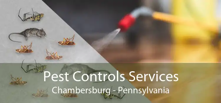 Pest Controls Services Chambersburg - Pennsylvania