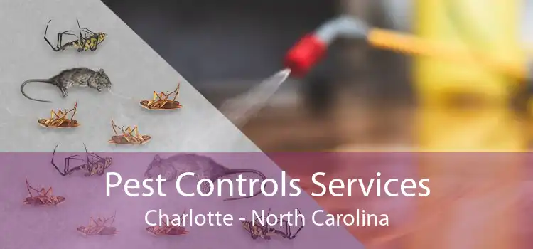 Pest Controls Services Charlotte - North Carolina