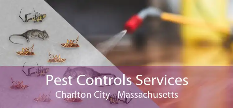Pest Controls Services Charlton City - Massachusetts