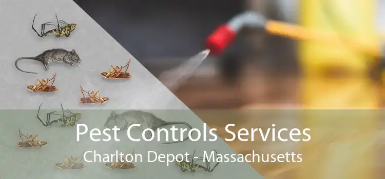 Pest Controls Services Charlton Depot - Massachusetts