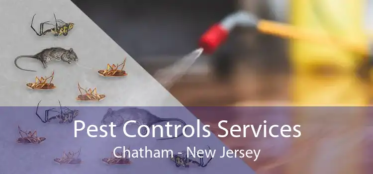 Pest Controls Services Chatham - New Jersey
