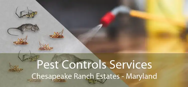 Pest Controls Services Chesapeake Ranch Estates - Maryland