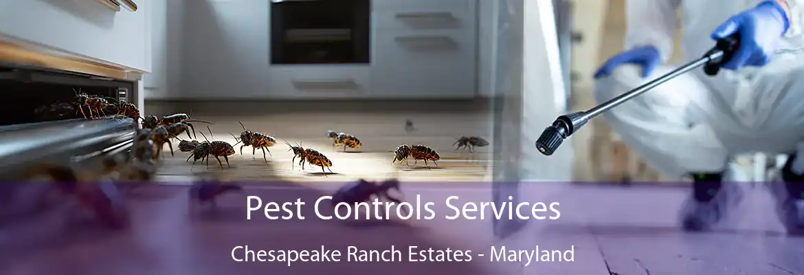 Pest Controls Services Chesapeake Ranch Estates - Maryland