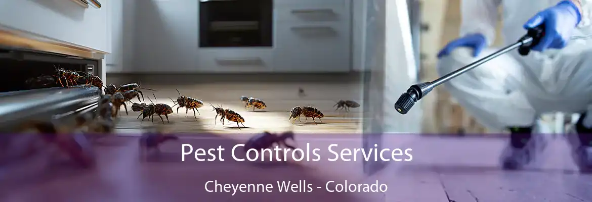 Pest Controls Services Cheyenne Wells - Colorado