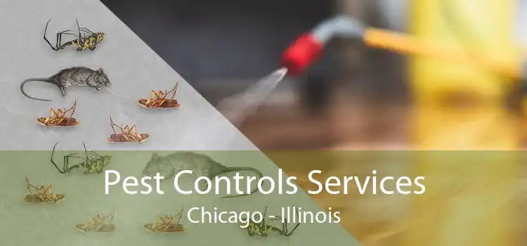 Pest Controls Services Chicago - Illinois
