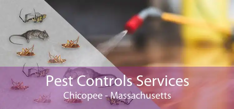 Pest Controls Services Chicopee - Massachusetts