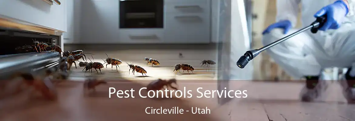Pest Controls Services Circleville - Utah