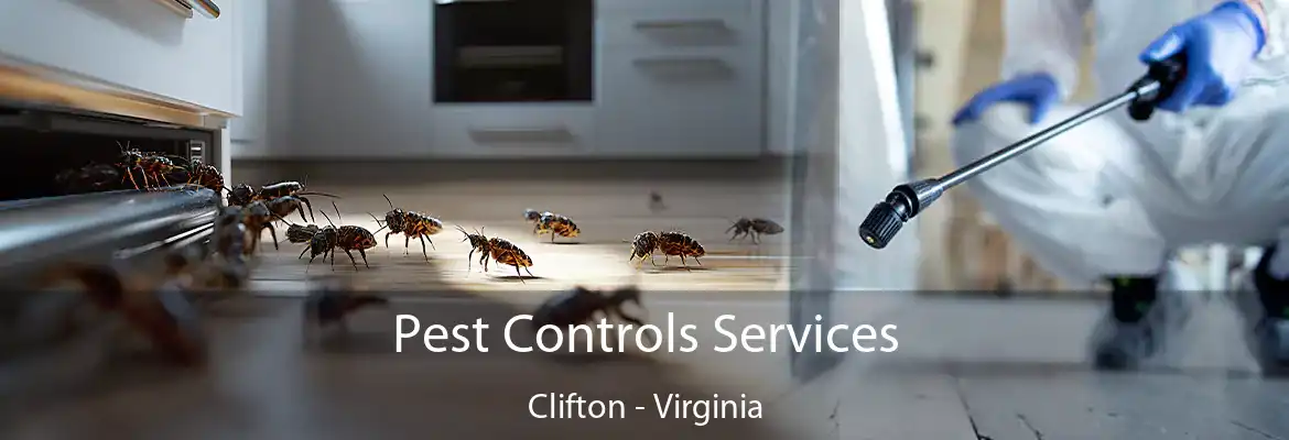 Pest Controls Services Clifton - Virginia