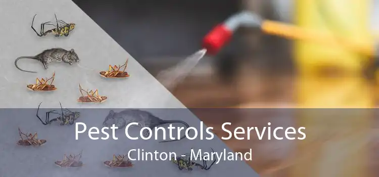 Pest Controls Services Clinton - Maryland