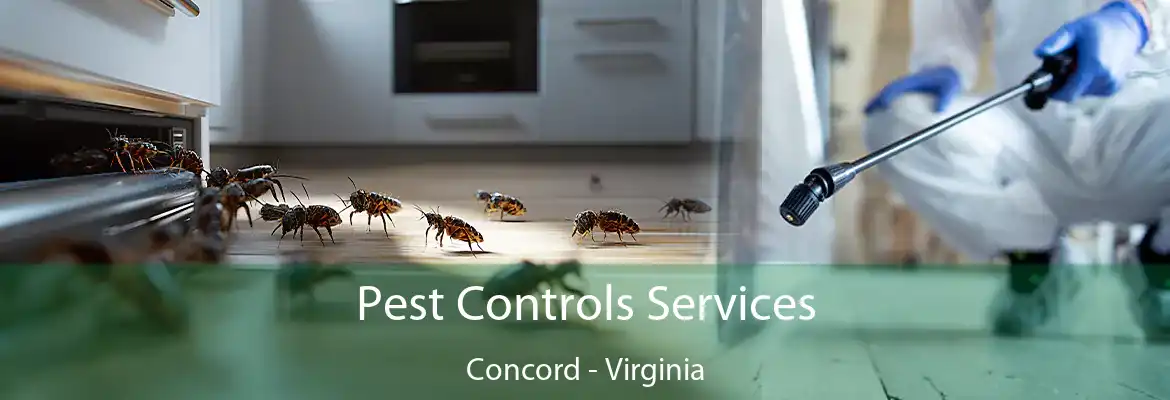 Pest Controls Services Concord - Virginia