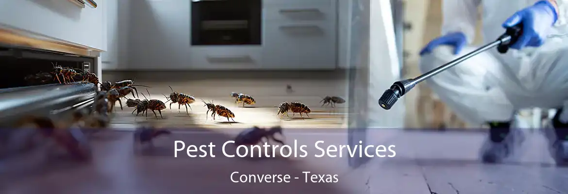 Pest Controls Services Converse - Texas