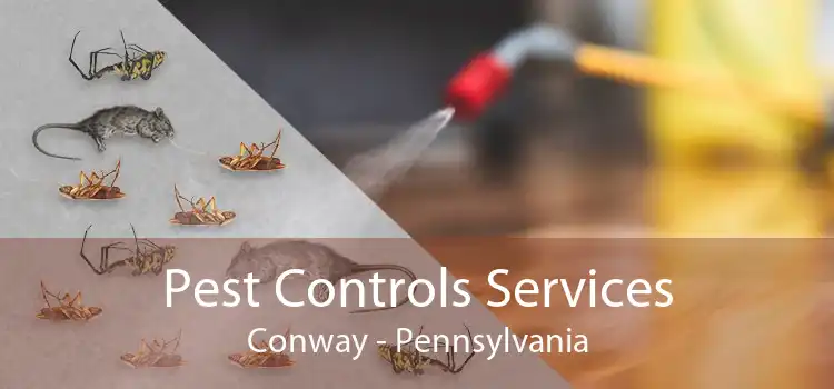 Pest Controls Services Conway - Pennsylvania