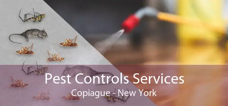 Pest Controls Services Copiague - New York