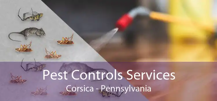 Pest Controls Services Corsica - Pennsylvania