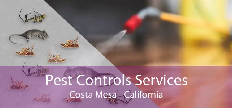 Pest Controls Services Costa Mesa - California