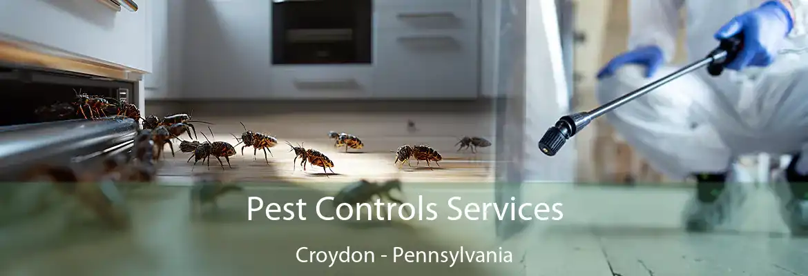 Pest Controls Services Croydon - Pennsylvania